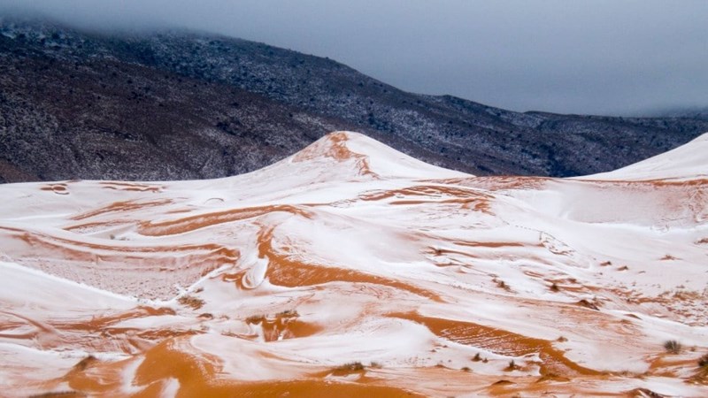 Tuyết hiếm khi rơi ở sa mạc Sahara